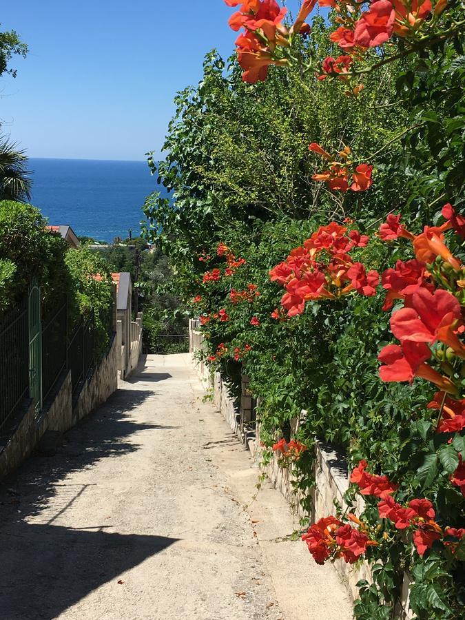 Villa Julia Petrovac Exterior photo