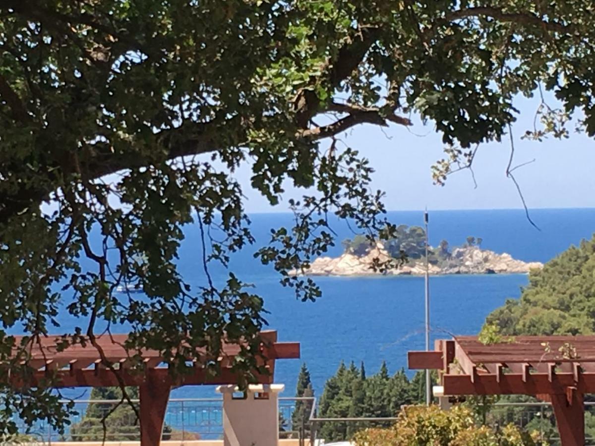 Villa Julia Petrovac Exterior photo
